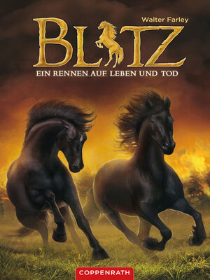 cover image of Blitz (Band 4)